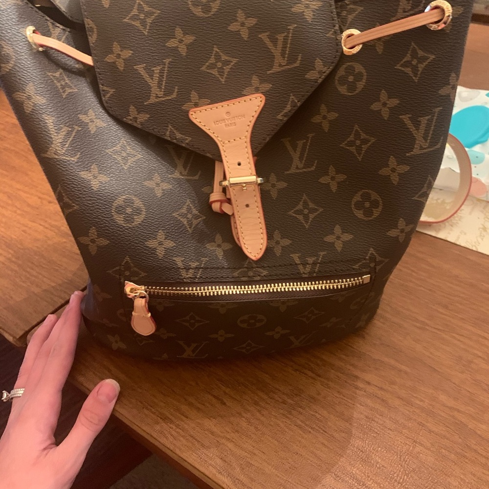 Back pack purse